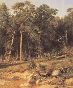 Ivan Shishkin A Pine Forest Mast-Timber forest in Viatka Province oil painting